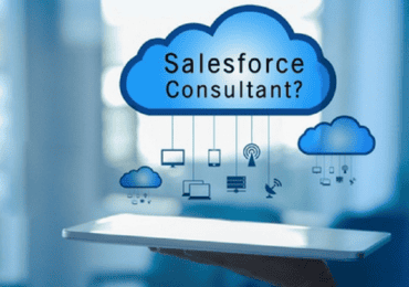 Salesforce Consultant