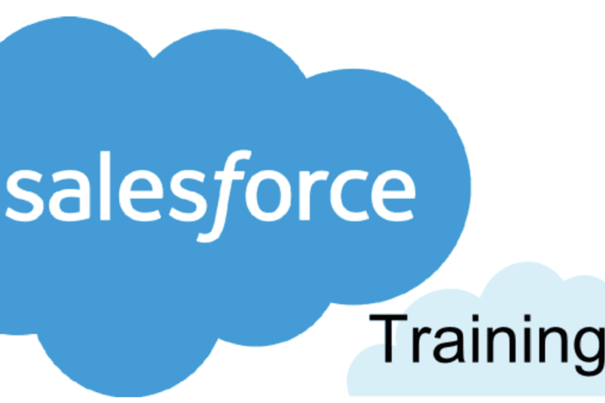 Salesforce Classes in Delhi