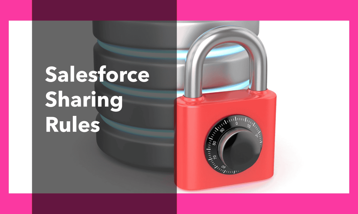 Sharing Rules in Salesforce