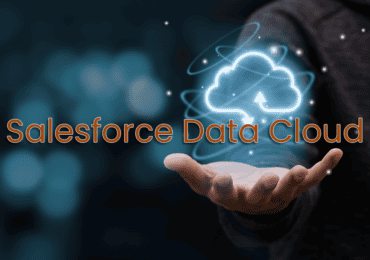 Salesforce Data Cloud