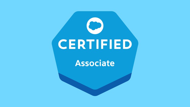 Salesforce Associate Certification