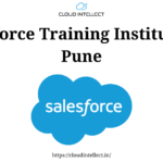 Salesforce Training Institutes in Pune